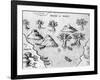 Map of the Coast of Guyana, Illustration from 'Regni Guianae'-null-Framed Giclee Print