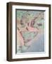 Map of the Countries of the Persian Golf, from the 'Sala Del Mappamondo'-Antonio Giovanni de Varese-Framed Giclee Print