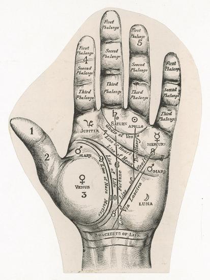 'Map of the Hand' Posters | AllPosters.com
