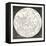 Map of the Moon 1833-null-Framed Stretched Canvas