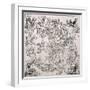 Map of the Northern Sky with Representations of the Constellations, Decorated With-Albrecht Dürer-Framed Giclee Print