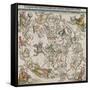 Map of the Northern Sky-Albrecht Dürer-Framed Stretched Canvas