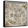 Map of the Northern Sky-Albrecht Dürer-Framed Stretched Canvas