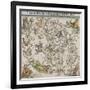 Map of the Northern Sky-Albrecht Dürer-Framed Giclee Print