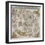 Map of the Northern Sky-Albrecht Dürer-Framed Premium Giclee Print