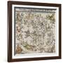 Map of the Northern Sky-Albrecht Dürer-Framed Giclee Print