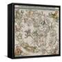 Map of the Northern Sky-Albrecht Dürer-Framed Stretched Canvas