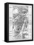 Map of the Pall Mall Area of London-null-Framed Stretched Canvas