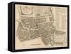 Map of the Parish of St Giles in the Fields, London-null-Framed Stretched Canvas