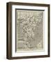 Map of the Proposed Route to China from British Burmah-John Dower-Framed Giclee Print