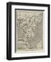 Map of the Proposed Route to China from British Burmah-John Dower-Framed Giclee Print