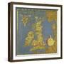 Map of the Sixteenth Century British Isles, from the "Sala Delle Carte Geografiche"-Stefano And Danti Bonsignori-Framed Giclee Print