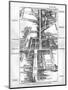 Map of the St. James's and Bond Street Areas of London-null-Mounted Photographic Print