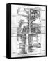 Map of the St. James's and Bond Street Areas of London-null-Framed Stretched Canvas