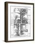 Map of the St. James's and Bond Street Areas of London-null-Framed Photographic Print