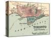 Map of Toronto (C. 1900), Maps-Encyclopaedia Britannica-Stretched Canvas