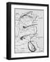 Map of Tunisia-null-Framed Giclee Print