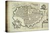 Map of Turin from Theatrum Statuum Regie Celestitudini Sabaudia Ducis-null-Stretched Canvas