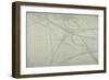 Map of Willesden, London-null-Framed Giclee Print