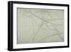 Map of Willesden, London-null-Framed Giclee Print