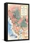 Map of Wine Country-null-Framed Stretched Canvas