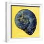 Map Shel l2 Y Indigo-Jace Grey-Framed Art Print