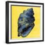 Map Shell Y Indigo-Jace Grey-Framed Art Print