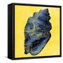 Map Shell Y Indigo-Jace Grey-Framed Stretched Canvas