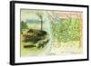 Map View of the State with a Lumbering Scene - Washington-Lantern Press-Framed Art Print