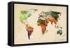 Map-Mark Ashkenazi-Framed Stretched Canvas