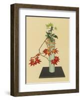 Maple and White Chrysanthemum an Autumn Arrangement-Koun Ohara-Framed Art Print