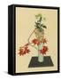 Maple and White Chrysanthemum an Autumn Arrangement-Koun Ohara-Framed Stretched Canvas