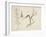 Maple, Balsam Fir, Pine, Shaggy Yellow Birch, White Birch, 1828-Thomas Cole-Framed Giclee Print