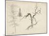 Maple, Balsam Fir, Pine, Shaggy Yellow Birch, White Birch, 1828-Thomas Cole-Mounted Giclee Print