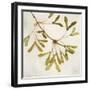 Maple Branch Crop-Julia Purinton-Framed Photographic Print