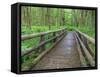 Maple Glade Trail Wooden Bridge, Quinault Rain Forest, Olympic National Park, Washington, USA-Jamie & Judy Wild-Framed Stretched Canvas