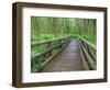 Maple Glade Trail Wooden Bridge, Quinault Rain Forest, Olympic National Park, Washington, USA-Jamie & Judy Wild-Framed Photographic Print