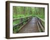 Maple Glade Trail Wooden Bridge, Quinault Rain Forest, Olympic National Park, Washington, USA-Jamie & Judy Wild-Framed Photographic Print