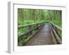 Maple Glade Trail Wooden Bridge, Quinault Rain Forest, Olympic National Park, Washington, USA-Jamie & Judy Wild-Framed Photographic Print