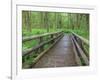 Maple Glade Trail Wooden Bridge, Quinault Rain Forest, Olympic National Park, Washington, USA-Jamie & Judy Wild-Framed Photographic Print