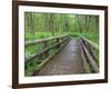 Maple Glade Trail Wooden Bridge, Quinault Rain Forest, Olympic National Park, Washington, USA-Jamie & Judy Wild-Framed Photographic Print