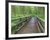 Maple Glade Trail Wooden Bridge, Quinault Rain Forest, Olympic National Park, Washington, USA-Jamie & Judy Wild-Framed Photographic Print