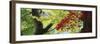 Maple Glade VIII-Bill Philip-Framed Giclee Print