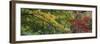 Maple Glade XII-Bill Philip-Framed Giclee Print