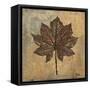 Maple III-Patricia Pinto-Framed Stretched Canvas