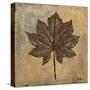 Maple III-Patricia Pinto-Stretched Canvas