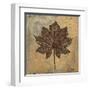 Maple III-Patricia Pinto-Framed Art Print