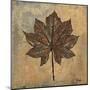 Maple III-Patricia Pinto-Mounted Art Print