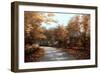 Maple Lane-Diane Romanello-Framed Art Print