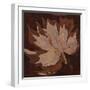 Maple Leaf 2-Rabi Khan-Framed Art Print